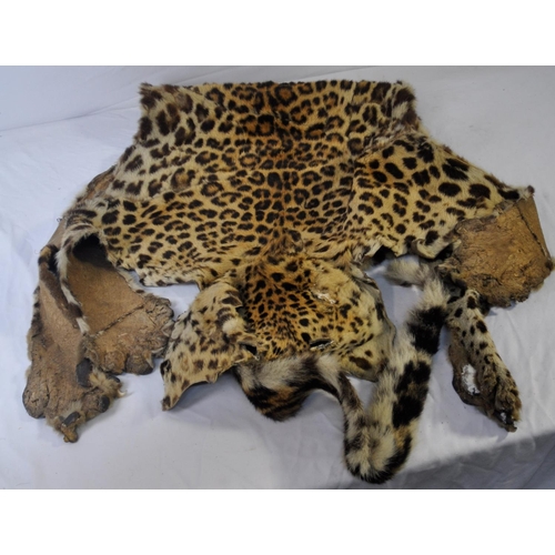 96 - HERSHELLE LEOPARD SKIN COAT AND LEOPARD SKIN RUG - CANNOT SELL, NO PAPERWORK TO GET CITES LICENSE