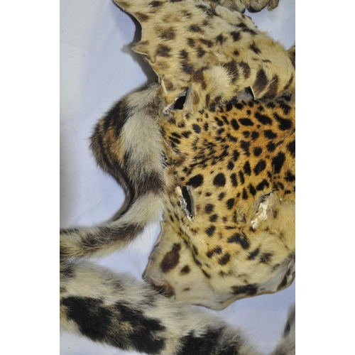 96 - HERSHELLE LEOPARD SKIN COAT AND LEOPARD SKIN RUG - CANNOT SELL, NO PAPERWORK TO GET CITES LICENSE