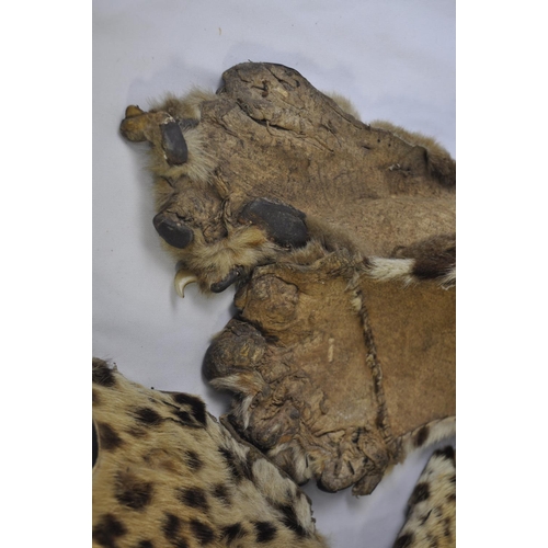 96 - HERSHELLE LEOPARD SKIN COAT AND LEOPARD SKIN RUG - CANNOT SELL, NO PAPERWORK TO GET CITES LICENSE