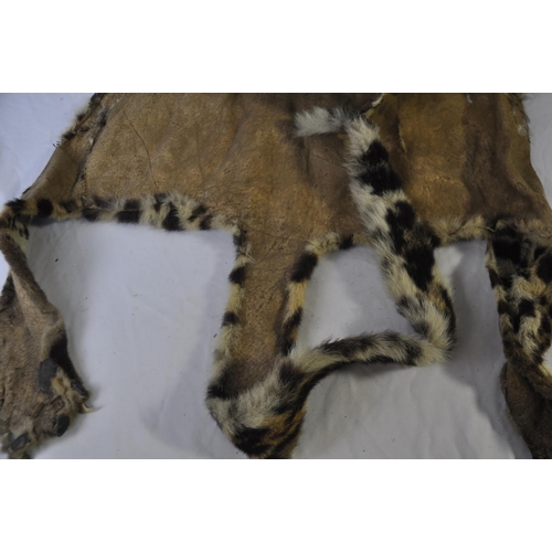 96 - HERSHELLE LEOPARD SKIN COAT AND LEOPARD SKIN RUG - CANNOT SELL, NO PAPERWORK TO GET CITES LICENSE