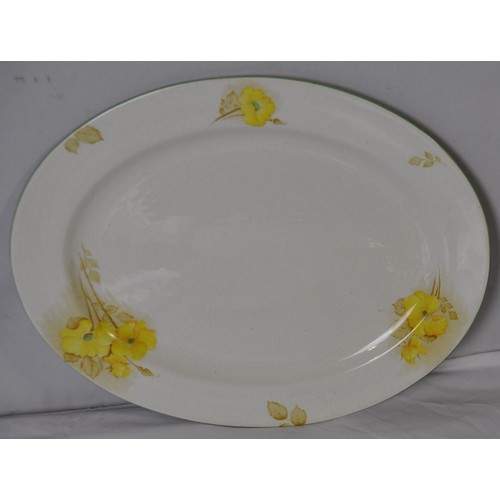 39 - SHELLEY PRIMROSE PART DINNER SET