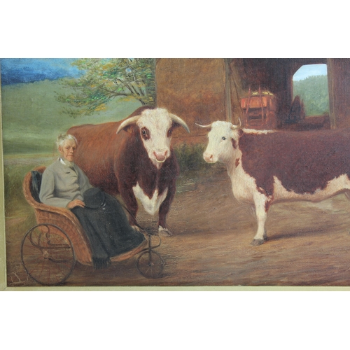 220 - OIL ON CANVAS OF PRIZE BULL AND COW WITH OWNER IN WHEELCHAIR - SIGN BOTTOM RIGHT 20x16