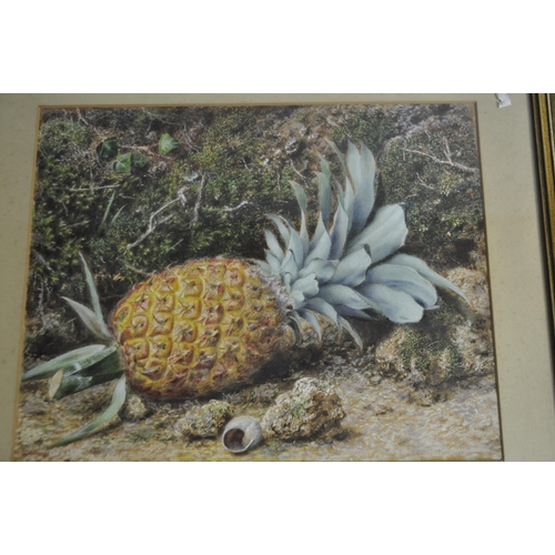 250 - FRAMED OIL ON BOARD OF PINEAPPLE, FRAMED STILL LIFE OF LILLIES AND ROSES BY J BOARD 1923, WATERCOLOU... 