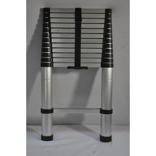 143 - TELESCOPIC LADDER