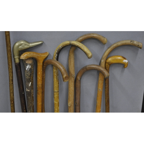 103 - BUNDLE OF WALKING STICKS