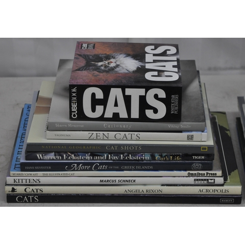 21 - VARIOUS CAT BOOKS