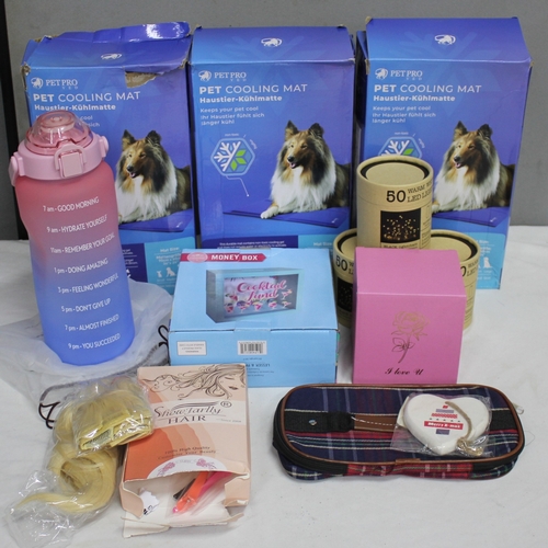 123 - MISCELLANEOUS INCLUDING DOG COOLING MATS, LARGE WATER BOTTLE, MONEY BOX, LED LIGHTS, ETC