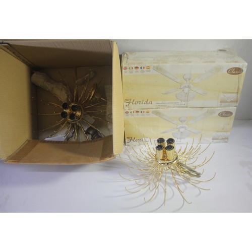 Lot 20        