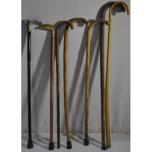 Lot 26        