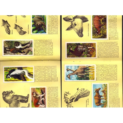 337 - Album of African Wild Life Brooke Bond Picture Cards.