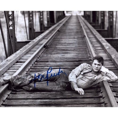 173 - Tony Curtis signed 10x8inch black and white photo.