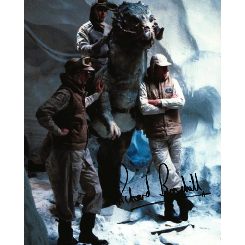 Lot 229       
