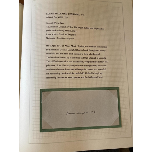 Lot 29        