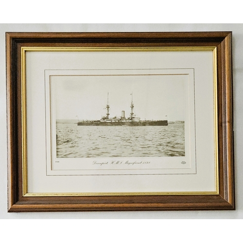 Lot 19        