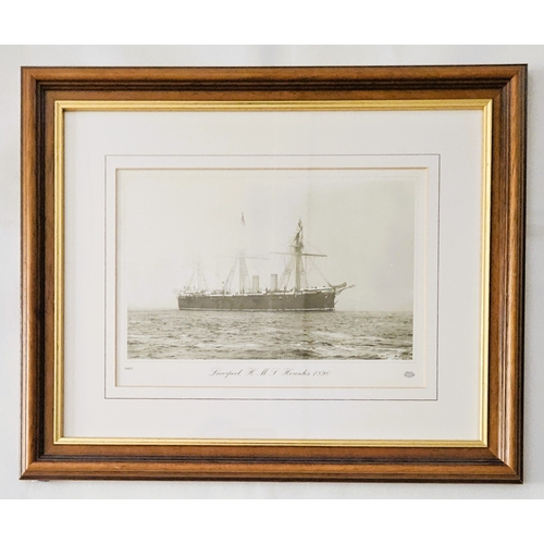 Lot 24        