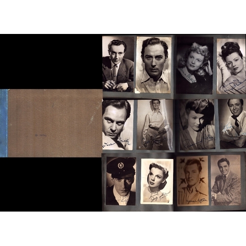 Lot 38        