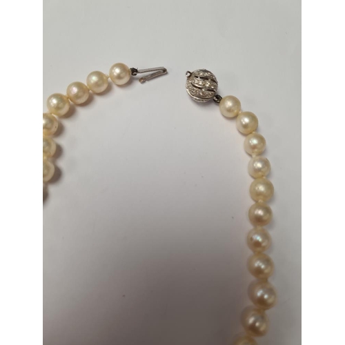 1067 - Single row of knotted pearls with 18ct white gold clasp, of spherical form inset diamonds, 47 pearls... 