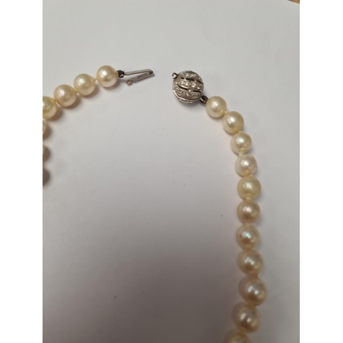 1067 - Single row of knotted pearls with 18ct white gold clasp, of spherical form inset diamonds, 47 pearls... 