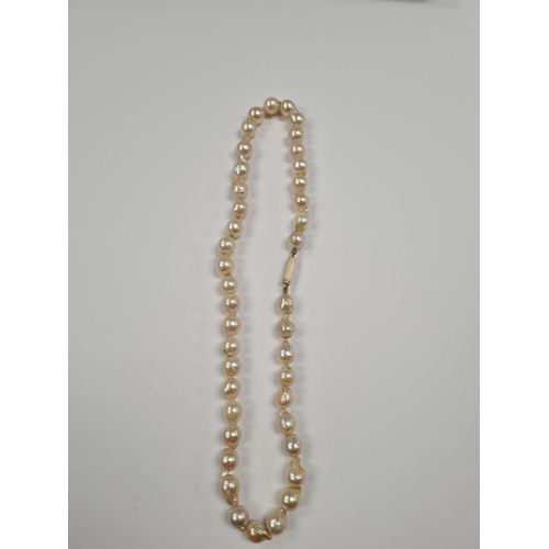 1047 - Single row of irregular shaped pearls, 40cm, with yellow gold clasp