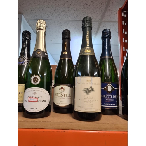 46 - Mixed sparkling wine and similar, 10 bottles