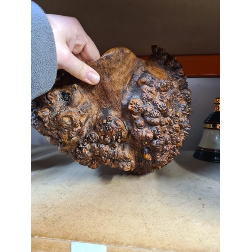 51 - Burr Walnut carving in form of bowl