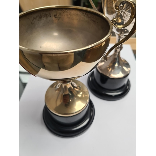 8 - A silver trophy cup by Fred H Adams and Co., Birmingham 1913. Two handles on vacant body, on a stand... 