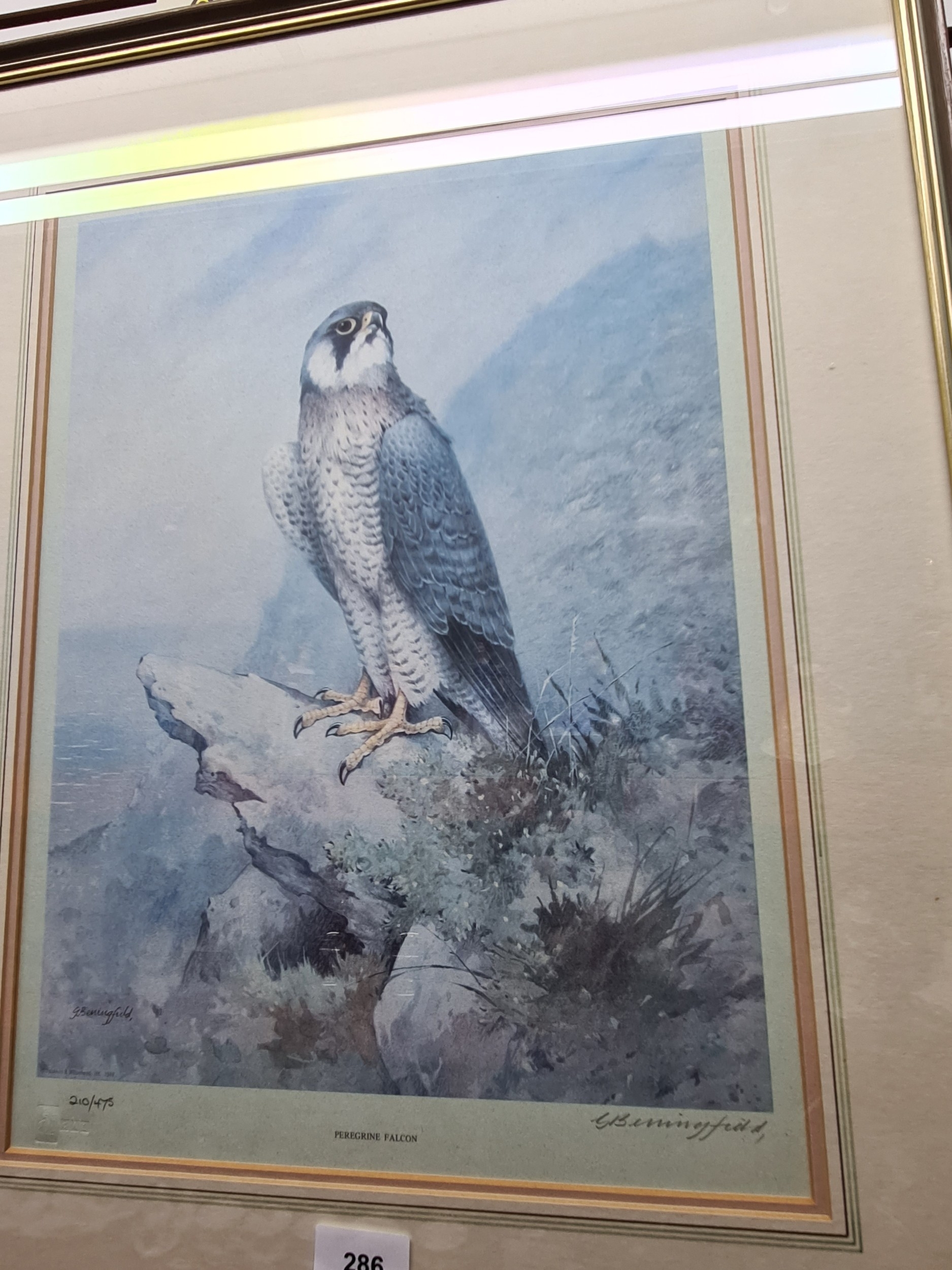 A pair of pencil signed prints of falcon and kestrel, and one other ...