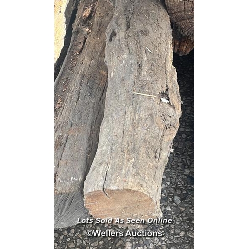 1482 - 3X UNFINISHED RUSTIC OAK BEAMS, LARGEST APPROX. 520CM (L), SEE EXAMPLE OF FINISHED PIECE IN LOTS 106... 