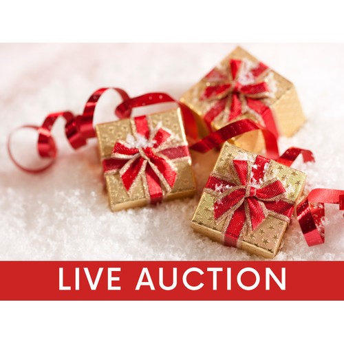 Welcome to our Ultimate Christmas Auction: Jewellery, watches, booze, and more!