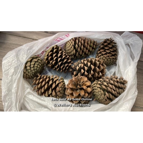 3084 - GIANT PINE CONES X8 (EACH APPROX 8-12CM) / H68