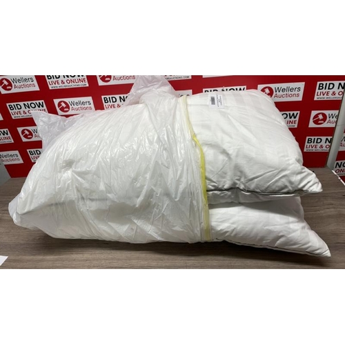 9 - HOTEL GRAND DOWN ROLL PILLOWS / NEW WITH MARKS / A41