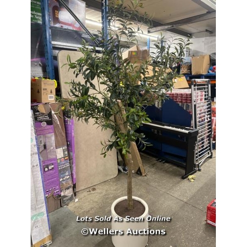 2171 - ARTIFICIAL OLIVE TREE IN PLANTER / SIGNS OF USE