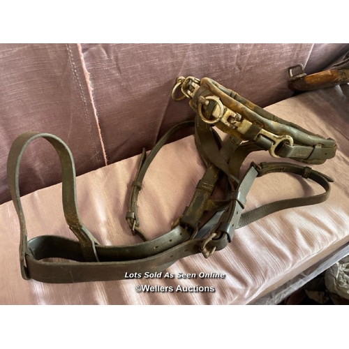 404 - CIRCA 1900, BOER WAR PERIOD MILITARY SADDLE WITH ASSOCIATED HORSE BIT AND HARNESS