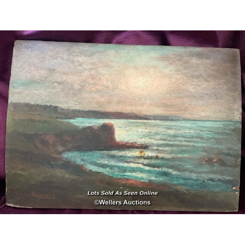 415 - OIL ON BOARD, SOVI A LA POINTE DU CANNELLE, 22 X 31CM - This lot is located away from the auction si... 