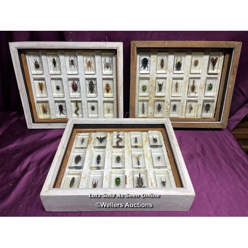 535 - COLLECTION OF FORTY FIVE EXOTIC BUGS, DISPLAYED RESIN CASES OVER THREE DISPLAY BOXES, 38 X 31.5CM