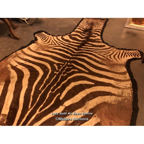 543 - CIRCA 1910 GREVY'S BROWN AND WHITE ZEBRA SKIN RUG, 250 X 182CM