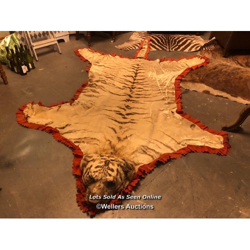 544 - 19TH CENTURY TIGER SKIN RUG WITHOUT CLAWS, 330 X 200CM