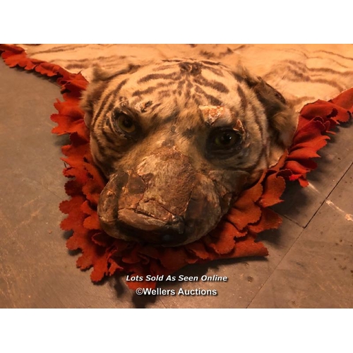 544 - 19TH CENTURY TIGER SKIN RUG WITHOUT CLAWS, 330 X 200CM