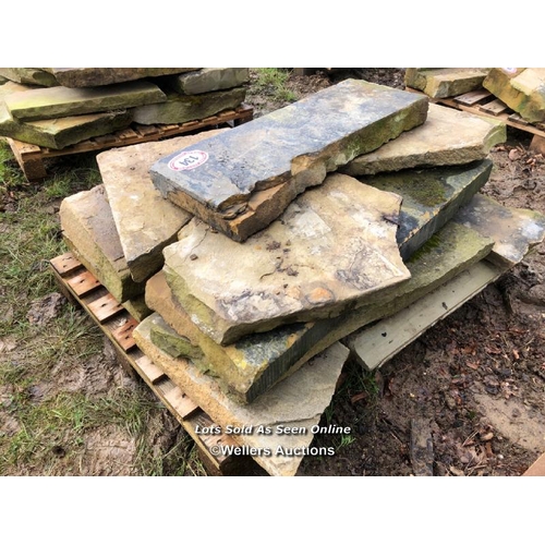 134 - THIRTEEN PIECES OF YORKSTONE CRAZY PAVING, VARIOUS SIZES, LARGEST 80CM L X 28CM W