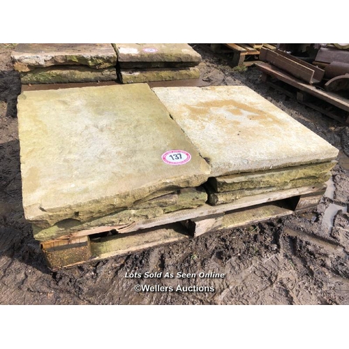 137 - EIGHT PIECES OF YORKSTONE PAVING, VARIOUS SIZES, LARGEST 76CM L X 60CM W