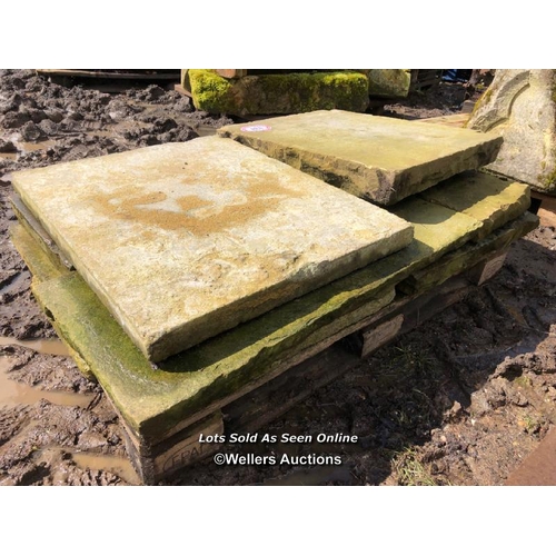 137 - EIGHT PIECES OF YORKSTONE PAVING, VARIOUS SIZES, LARGEST 76CM L X 60CM W