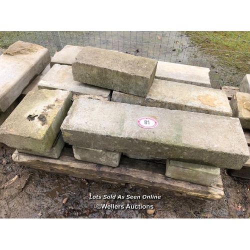 81 - TEN PIECES OF CONCRETE COPING, 90CM L X 26CM W