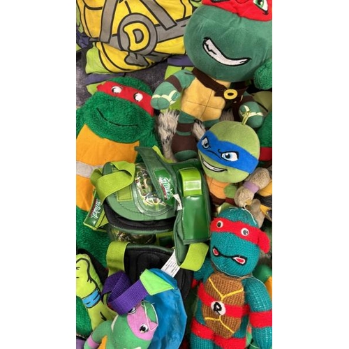 22 - Teenage Mutant Hero Turtles soft toys, rug, rucksacks, bags and hot water bottles / AN41