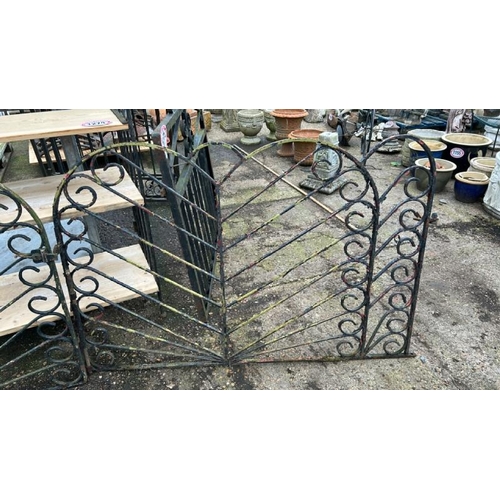 1277 - A PAIR OF PAINTED WROUGHT IRON GATES, 91.5CM (H) X 116CM (W) / ALL LOTS ARE LOCATED IN SL0 9LG, REGR... 