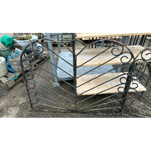 1277 - A PAIR OF PAINTED WROUGHT IRON GATES, 91.5CM (H) X 116CM (W) / ALL LOTS ARE LOCATED IN SL0 9LG, REGR... 