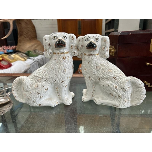 1772 - PAIR OF STAFFORDSHIRE DOGS / ALL LOTS ARE LOCATED IN SL0 9LG, REGRETFULLY WE DO NOT OFFER SHIPPING, ... 