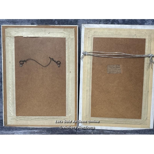 44 - Pair of framed tapestry pictures of flowers, 32x45cm including frames / AN51