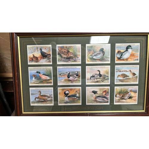 1844 - FOUR FRAMED SETS OF CIGARETTE CARDS INC AUTOMOBILES, BIRDS, FLOWERS AND PORTRAITS BY VARIOUS COMPANI... 