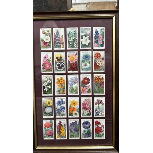 1844 - FOUR FRAMED SETS OF CIGARETTE CARDS INC AUTOMOBILES, BIRDS, FLOWERS AND PORTRAITS BY VARIOUS COMPANI... 