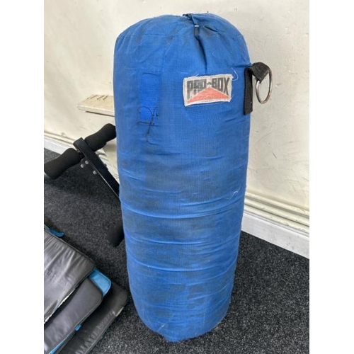 35 - X6 YOGA MATS, PUNCHING BAG AND A DECLINE BENCH